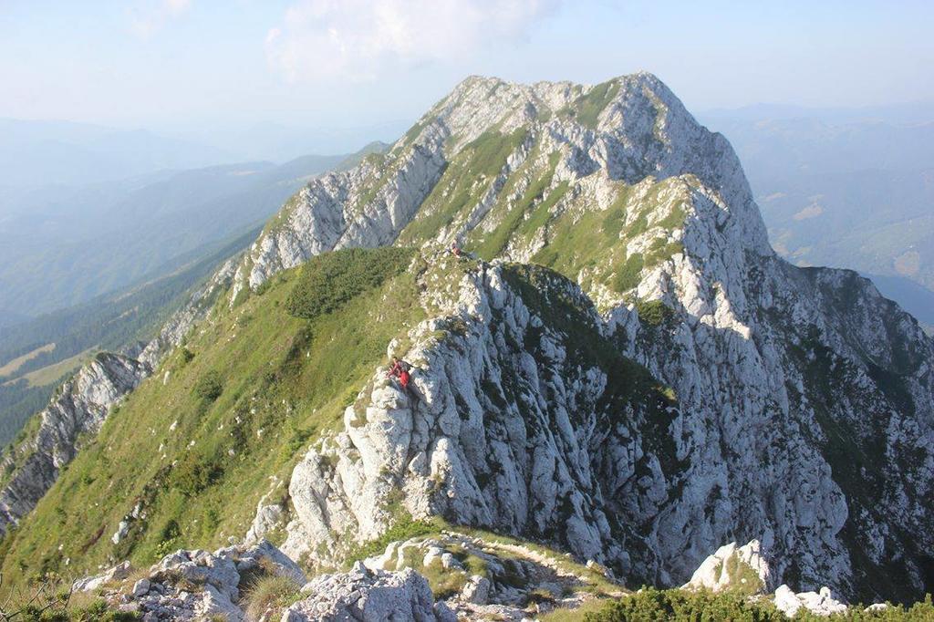 Pensiune Maria Rucăr Kültér fotó